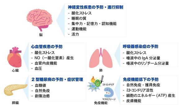 2025.06.09_figure2.jpg