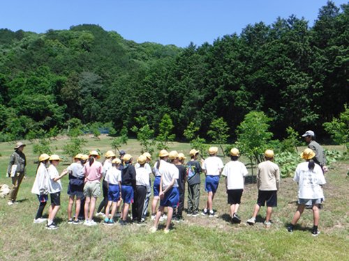 2026.06.04_budou5.jpg