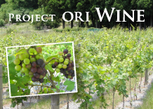 Project ORI Wine